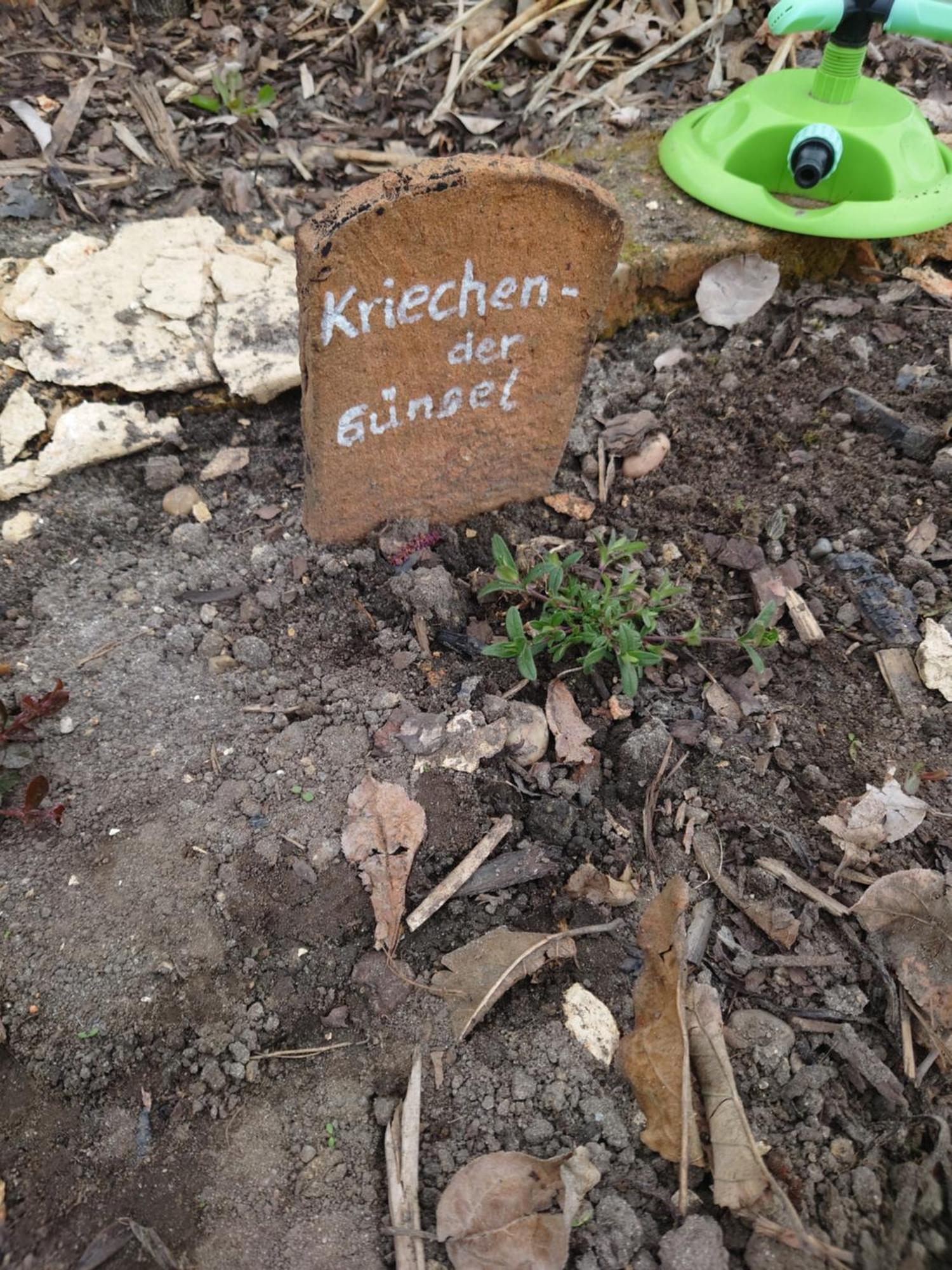 Ferienhof-Rietschen-Neuliebel Dış mekan fotoğraf