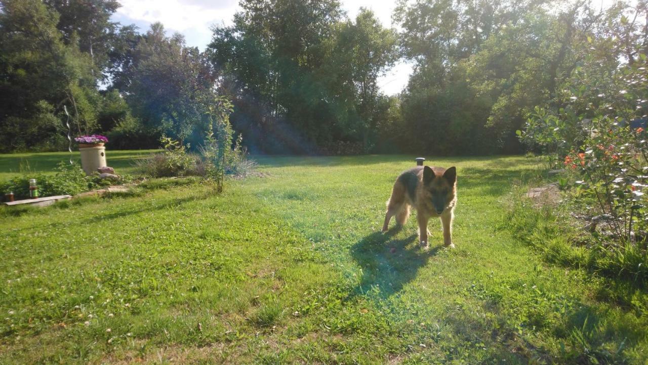Ferienhof-Rietschen-Neuliebel Dış mekan fotoğraf